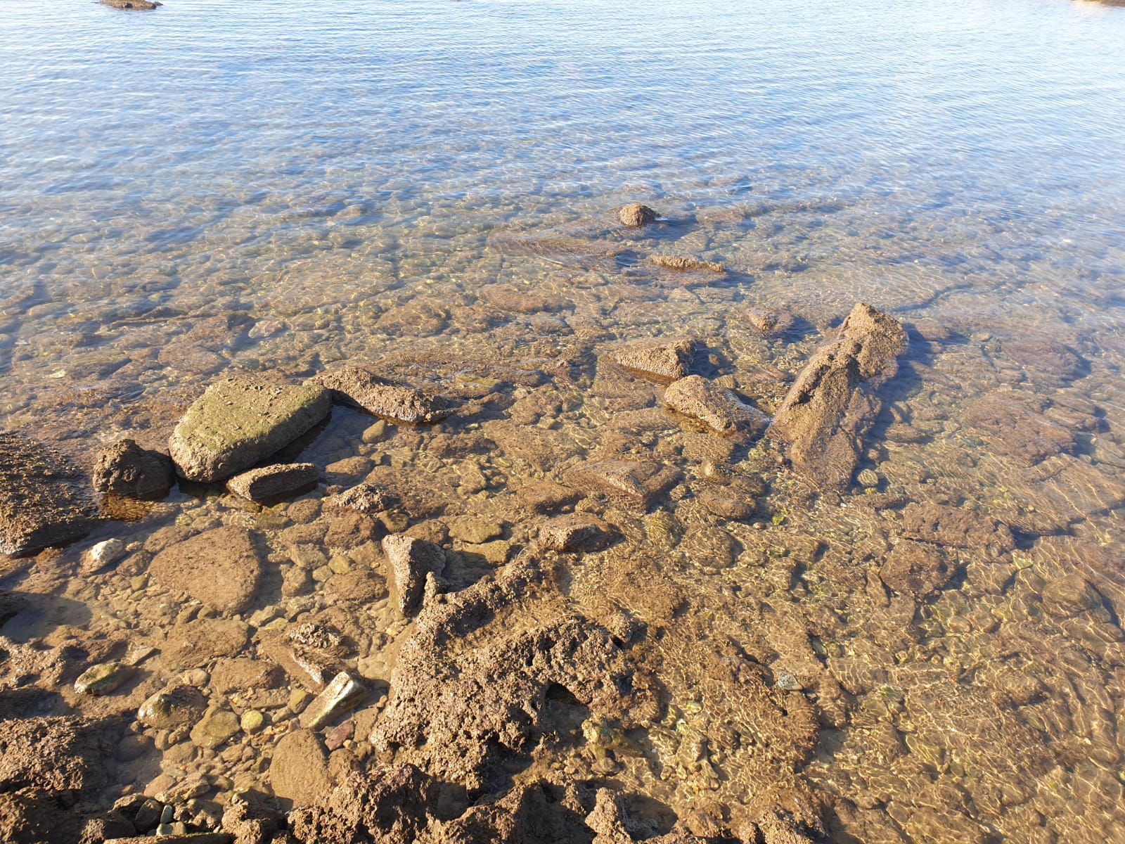 WhatsApp Image 2020-01-27 at 9.05.18 AM (2).jpeg.jpeg